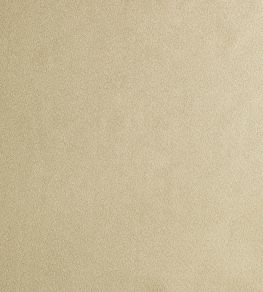 Ballet Fabric by de Le Cuona Silk