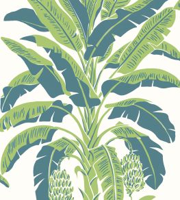 Banana Tree Wallpaper by Thibaut Green and Blue