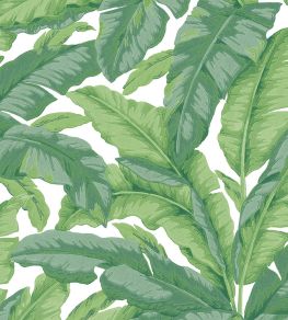 Banane Wallpaper by Jannelli&Volpi Green