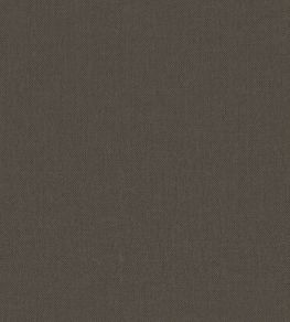 Baobab Wallpaper by Jannelli&Volpi Black