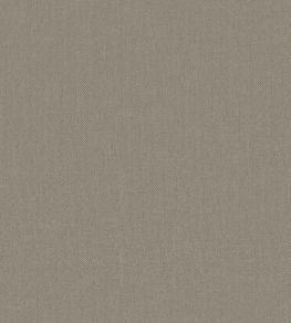 Baobab Wallpaper by Jannelli&Volpi Grey