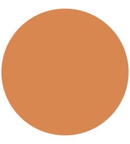 Barcelona Orange Chalk Paint by Annie Sloan Barcelona Orange