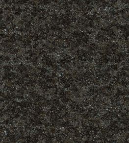 Bearded Leopard Wallpaper by Moooi Blackened Blue