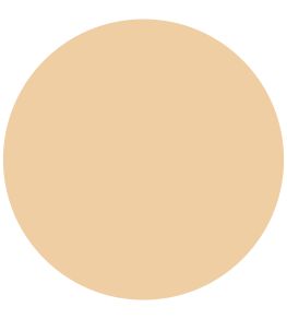 Beauvais Cream 1829 Gloss Paint by Craig & Rose Beauvais Cream
