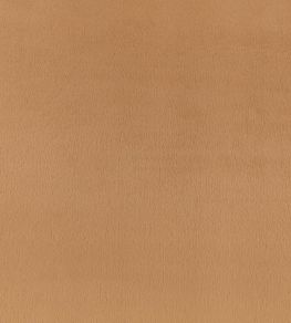 Benjamin Fabric by Zinc Camel