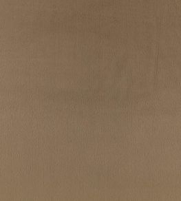 Benjamin Fabric by Zinc Driftwood