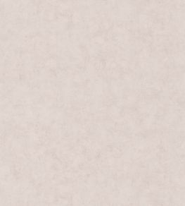 Benton Uni Wallpaper by Caselio Taupe gris clair