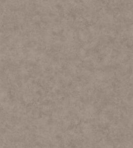 Benton Uni Wallpaper by Caselio Taupe gris fonce