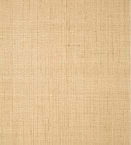 Bethany Raffia Wallpaper by Thibaut Natural