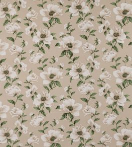 Bianca Fabric by Manuel Canovas Nacre
