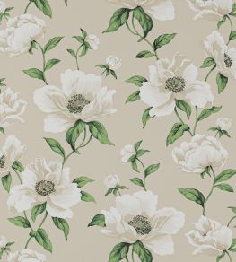 Bianca Wallpaper by Manuel Canovas Nacre