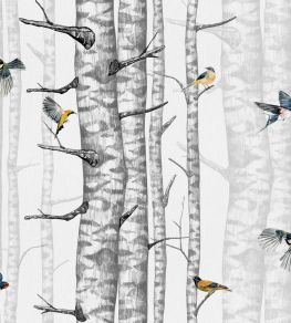Birch Trees Wallpaper by Coordonne Grey