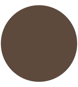 Blackthorn Chalky Matt Paint by Morris & Co Blackthorn