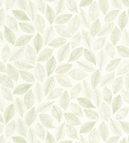 Bliss Wallpaper by Caselio Blanc Vert Mousse