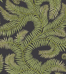 Bombe's Fernery Wallpaper by Josephine Munsey Dark Grey and Green