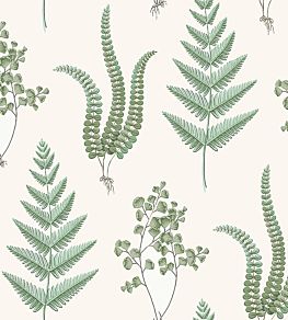 Herba Wallpaper by Borastapeter 57
