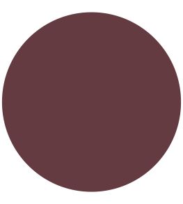 Bordeaux True Matt Emulsion Paint by Zoffany Bordeaux