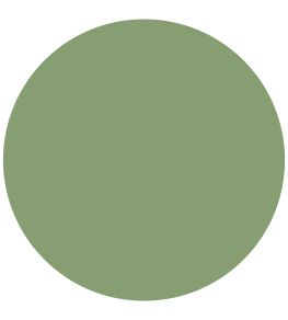 Botanical Green Active Emulsion Paint by Sanderson Botanical Green