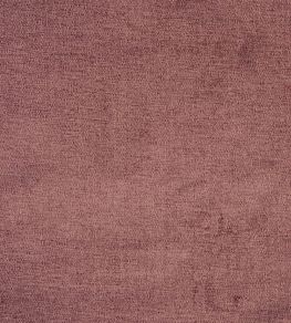 Bravo Fabric by Prestigious Textiles Dark Rose