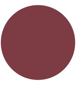 Burgundy Chalk Paint by Annie Sloan Burgundy