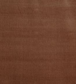 Burton Fabric by Prestigious Textiles Apricot