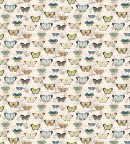 Butterfly Studies Fabric by Designers Guild Parchment