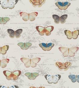 Butterfly Studies Wallpaper by Designers Guild Parchment