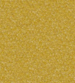 Cadenza Fabric by Designers Guild Amber