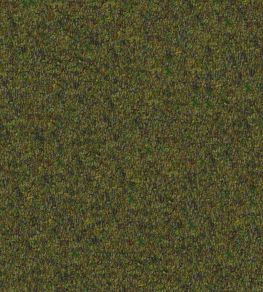 Cadenza Fabric by Designers Guild Moss