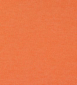 Calvi Fabric by Manuel Canovas Abricot