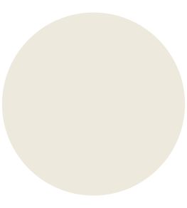 Cameo White Active Emulsion Paint by Sanderson Cameo White