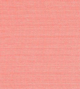 Cameron Fabric by Thibaut Coral