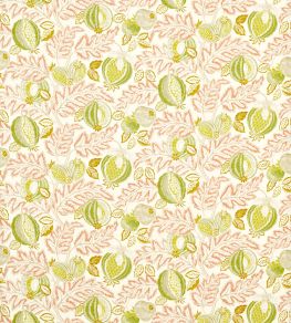 Cantaloupe Outdoor Fabric by Sanderson Matcha/Conch