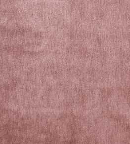 Cape Mohair Fabric by Warwick Rose