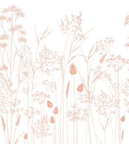 Capillaris Mural by Casadeco Corail