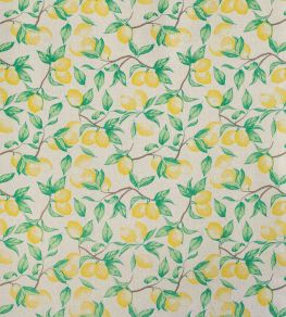 Capri Lemon Fabric by Barneby Gates Natural