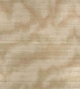 Caractere Wallpaper by Zinc Spun Gold