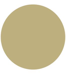 Caraway Green Active Emulsion Paint by Sanderson Caraway Green