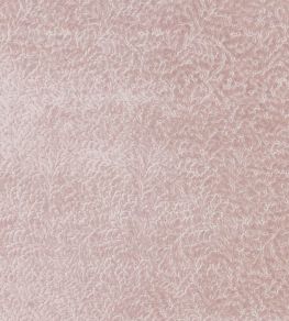 Cartouche Fabric by Designers Guild Blossom