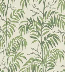 Casablanca Afternoon Wallpaper by Langelid Von Bromssen Palm Green