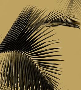 Honey Palm Mural by Caselio 2098