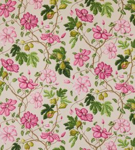 Castellane Fabric by Manuel Canovas Fuchsia/Dune