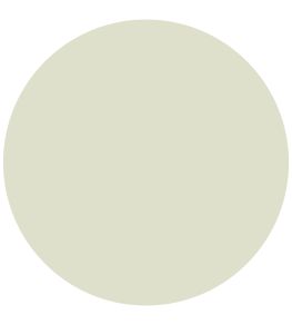 Celadon Elite Emulsion Paint by Zoffany Celadon