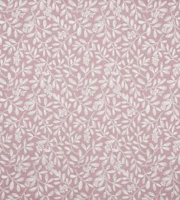 Charlotte Fabric by Prestigious Textiles Rose