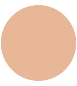 Chatelaine 1829 Chalky Emulsion Paint by Craig & Rose Chatelaine