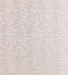 Cherie Fabric by Prestigious Textiles Marzipan