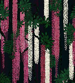 Wisteria Alba Mural by Christian Lacroix Magenta