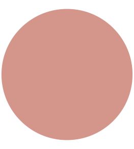 Chrysanthemum Chalky Matt Paint by Morris & Co Chrysanthemum