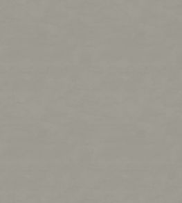 Cipriana Fabric by Warwick Champagne
