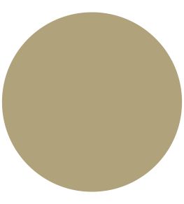 Citrus Stone Chalky Matt Paint by Morris & Co Citrus Stone